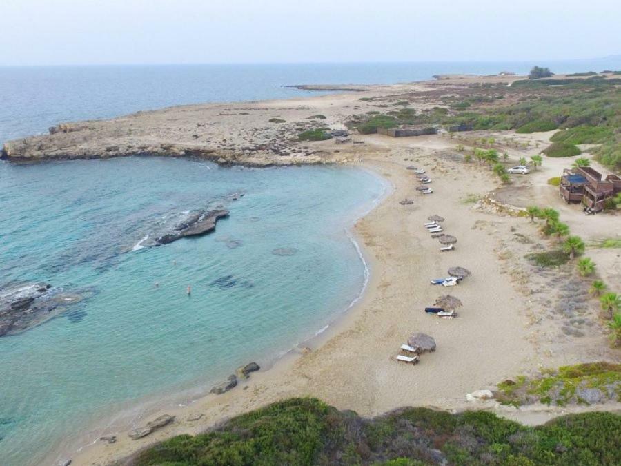 Selenias Balci Plaza Hotel And Balci Plaza Guest Bungalows Karpaz Peninsula المظهر الخارجي الصورة